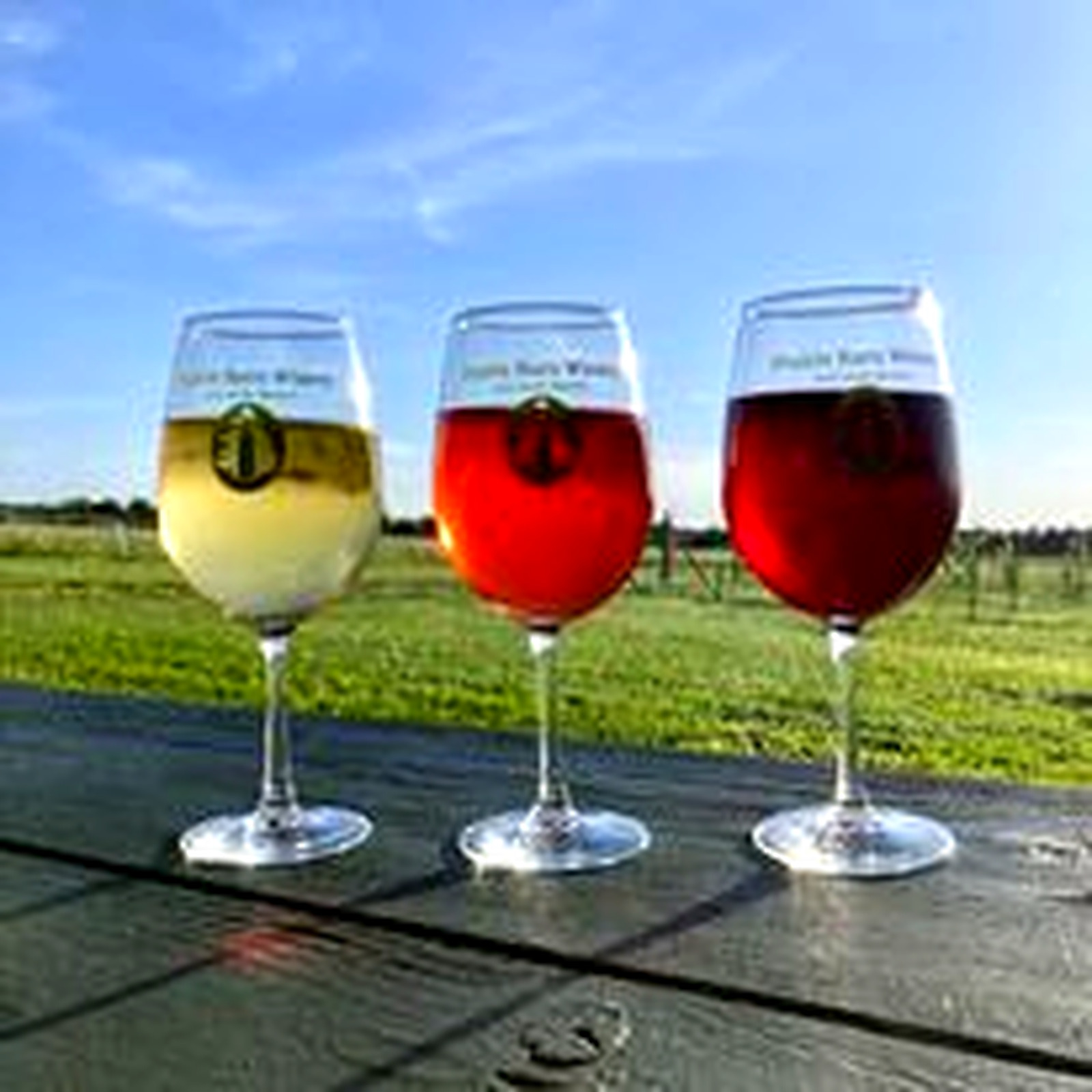Prairie Barn wine flight overlooking the farm