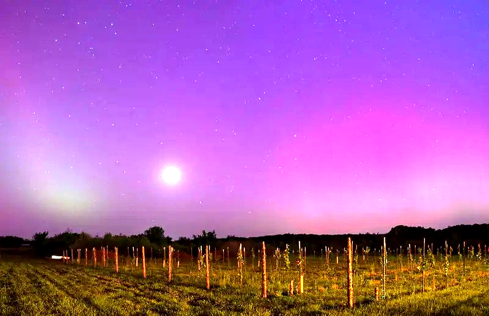 Night sky over the Prairie Barn vineyard